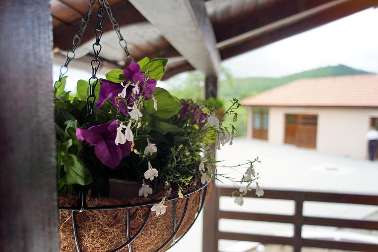 Cabana La Pestera Pestera  Екстер'єр фото
