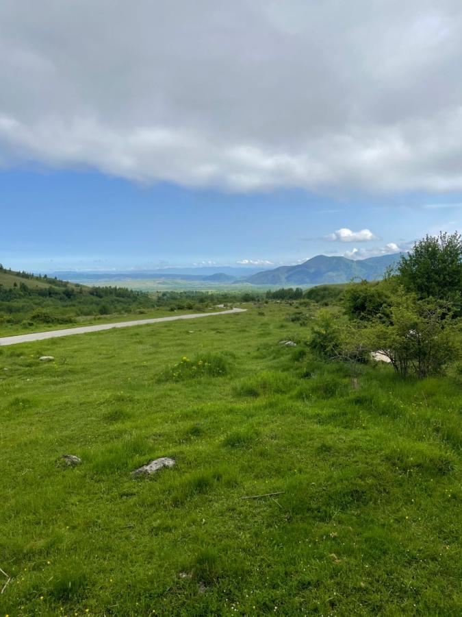 Cabana La Pestera Pestera  Екстер'єр фото